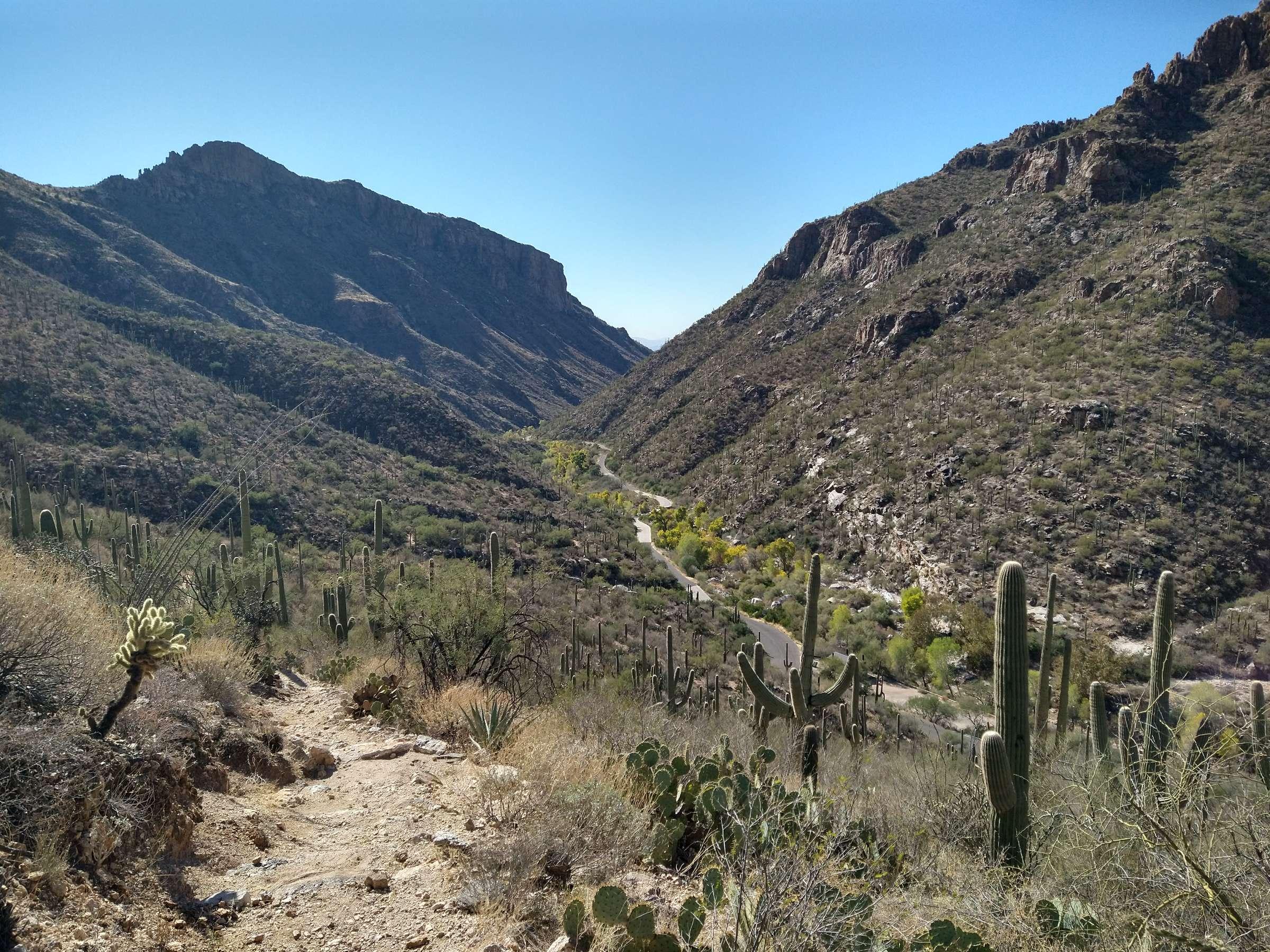 Sonoran Desert canyon scenery